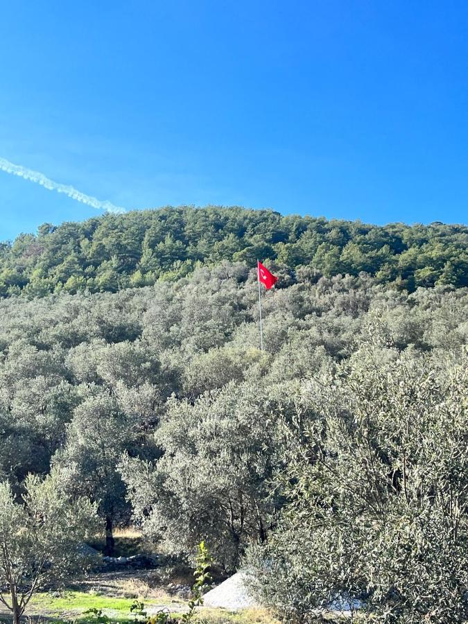 Lovin Göcek Tiny House Butterfly Villa Gokceovacik Eksteriør bilde